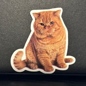 ORANGE CAT STICKER